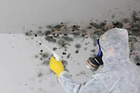 Best Real Estate Mold Inspection  in Jean Fitte, LA